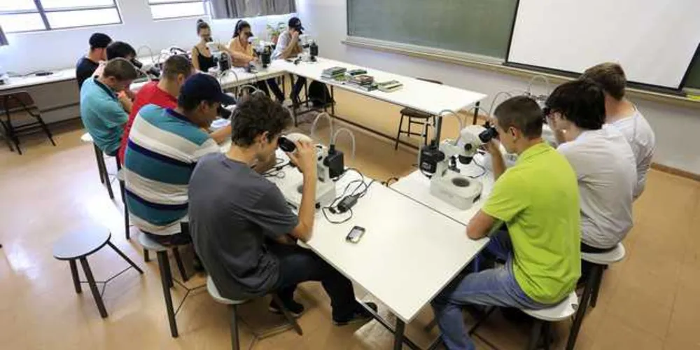 Imagem ilustrativa da imagem Universidades estaduais do PR recebem 96,8 mil inscrições