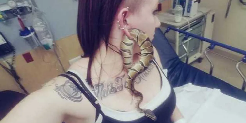 Imagem ilustrativa da imagem Mulher vai ao hospital após cobra ficar presa na orelha