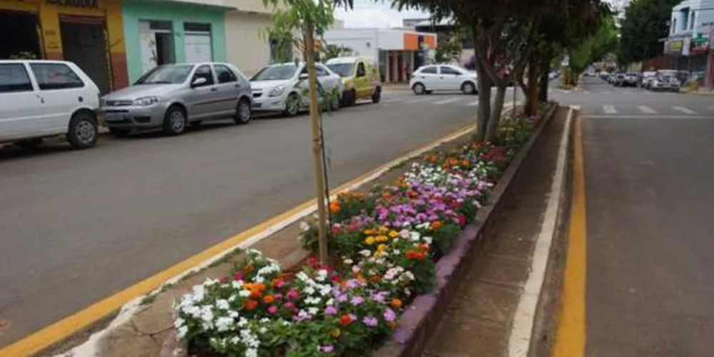 Imagem ilustrativa da imagem Ortigueira realiza plantio de árvores em avenidas