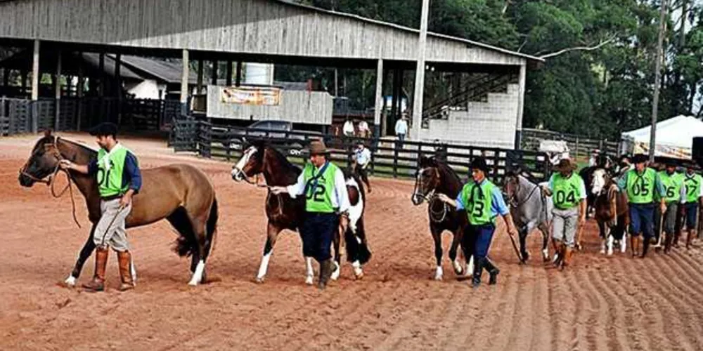 Imagem ilustrativa da imagem Ponta Grossa será palco de eventos do cavalo Crioulo