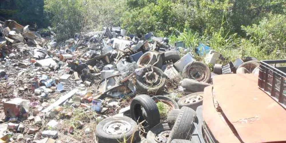 Crime foi flagrado em uma propriedade às margens da BR-153
