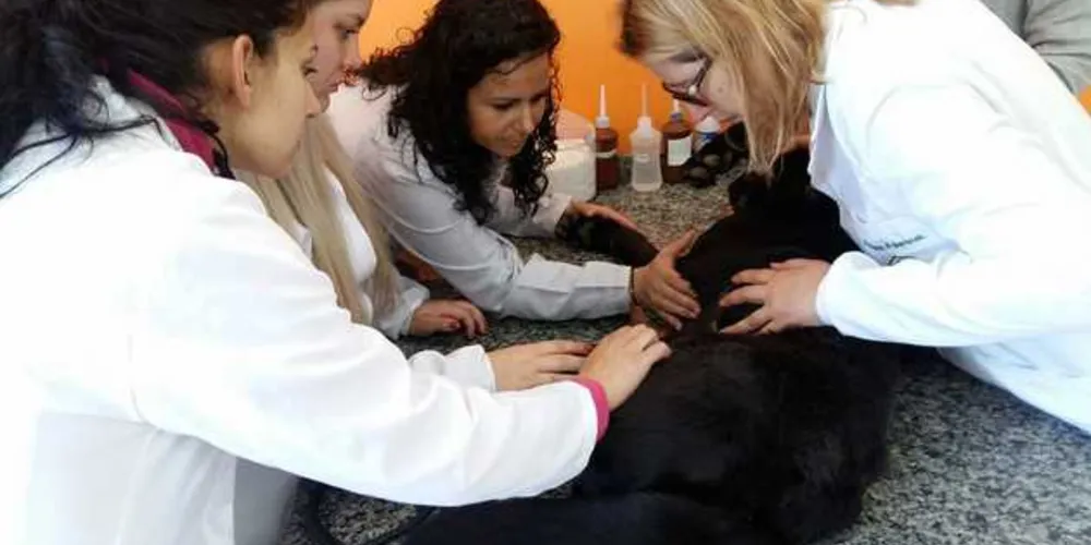 Imagem ilustrativa da imagem Cescage prepara atividades com animais para o semestre