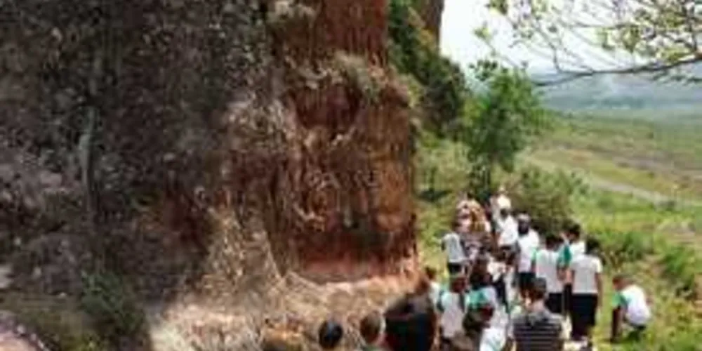 Imagem ilustrativa da imagem Alunos de Imbituva conhecem o Parque Estadual de Vila Velha