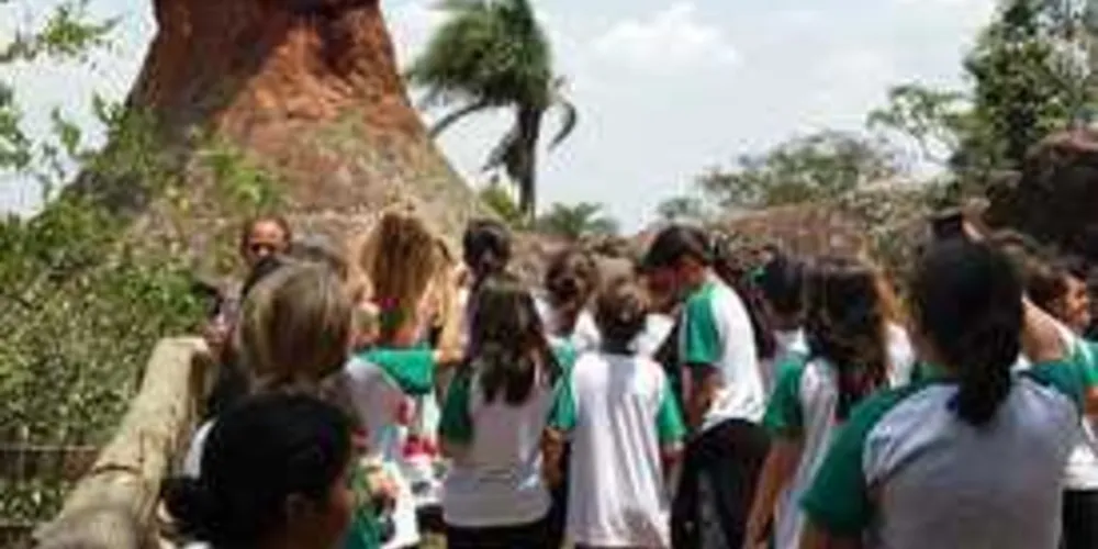 Imagem ilustrativa da imagem Alunos de Imbituva conhecem o Parque de Vila Velha