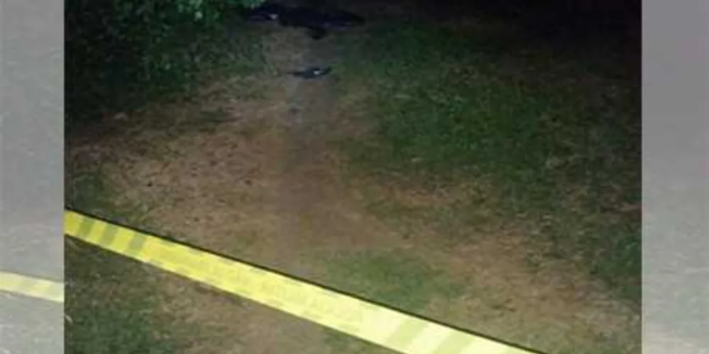 Crime ocorreu na Vila Matilde, em Irati