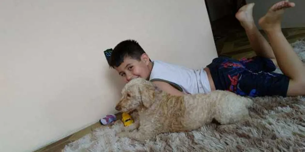 Criança tem sentido falta do animal e donos estão desesperados em busca do cão