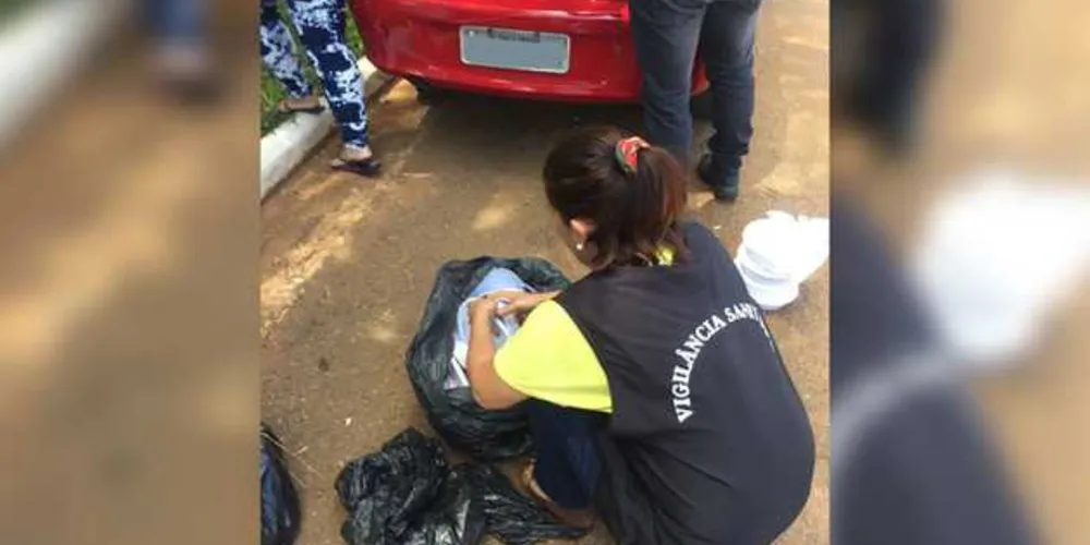 Imagem ilustrativa da imagem Vigilância Sanitária intensifica inspeções alimentares