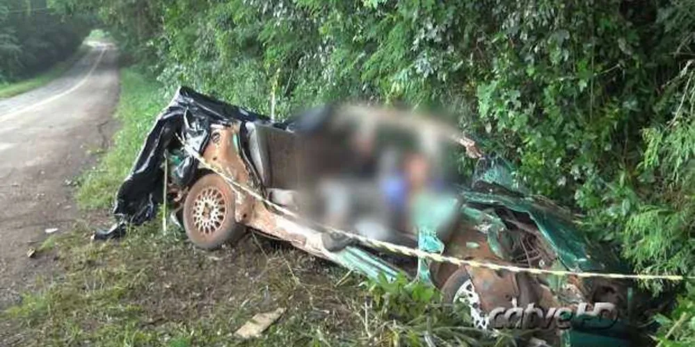 Imagem ilustrativa da imagem Motorista bate carro em árvore e três morrem no PR
