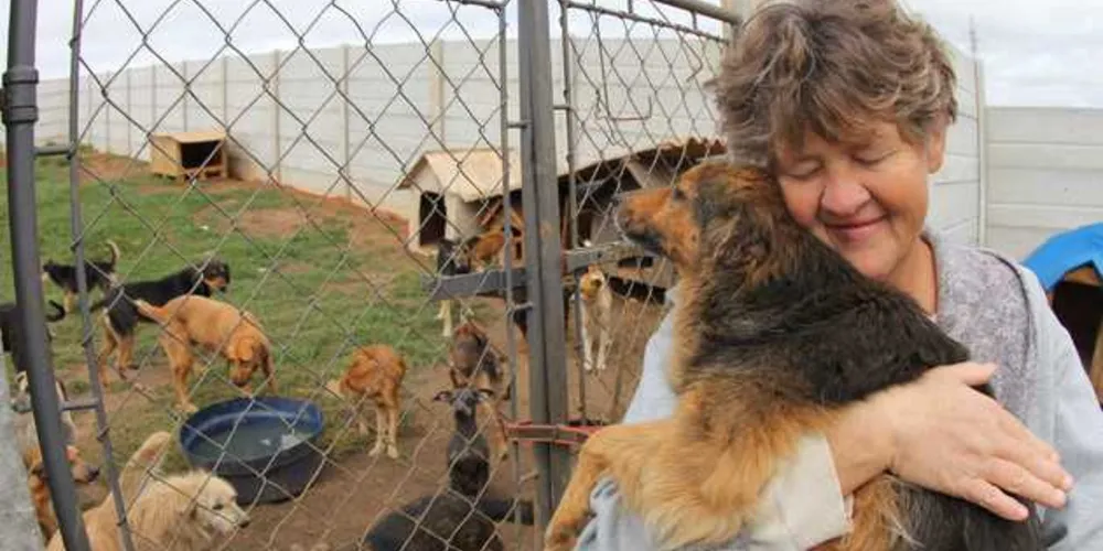ONG cuida de mais de 300 animais de rua que foram abandonados pelos donos e acumula dívidas