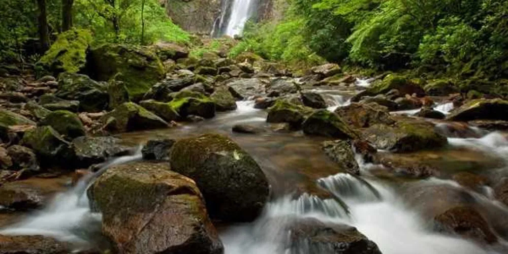 Imagem ilustrativa da imagem Cachoeira de 100 metros de altura é opção para o carnaval