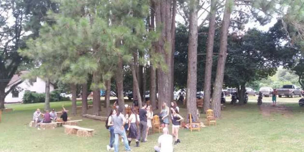 Imagem ilustrativa da imagem BierPark reúne público em Witmarsum