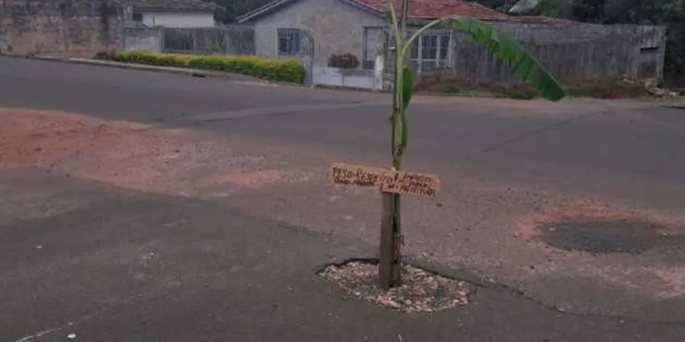 Imagem ilustrativa da imagem Moradores plantam bananeira em buraco
