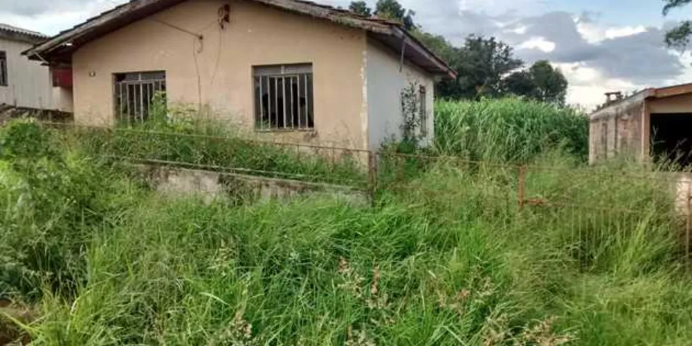 Imagem ilustrativa da imagem Terreno abandonado em Oficinas intriga moradores