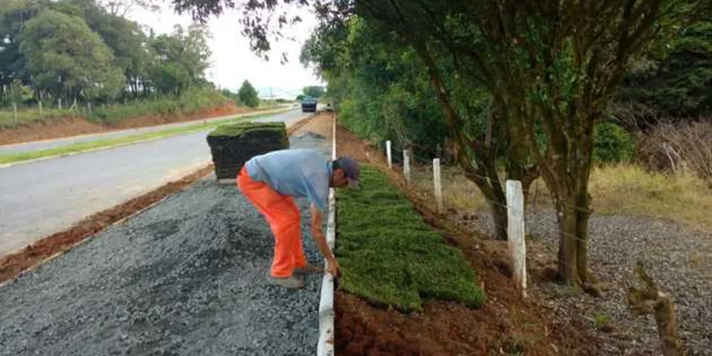 Imagem ilustrativa da imagem Palmeira segue com obras de calçamento em avenida