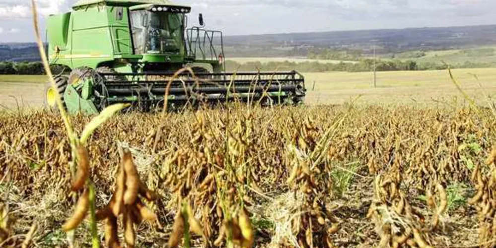 Projeto da Emater ajuda agricultor a ter mais renda / Imagem: Arquivo JM 