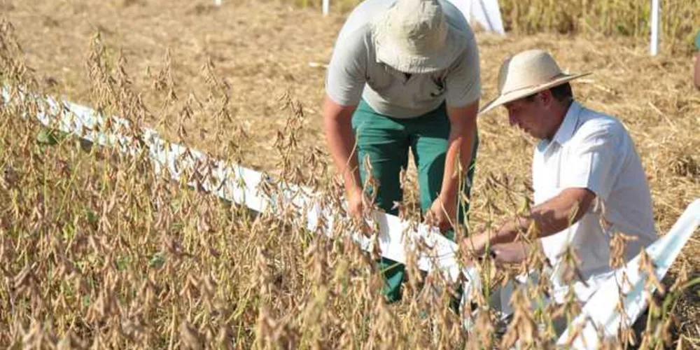 Show Tecnológico que atrai agricultores e técnicos não só dos Campos Gerais e Paraná, mas também de São Paulo