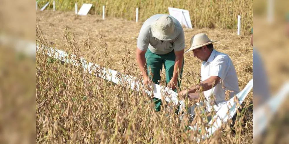 Show Tecnológico que atrai agricultores e técnicos não só dos Campos Gerais e Paraná, mas também de São Paulo