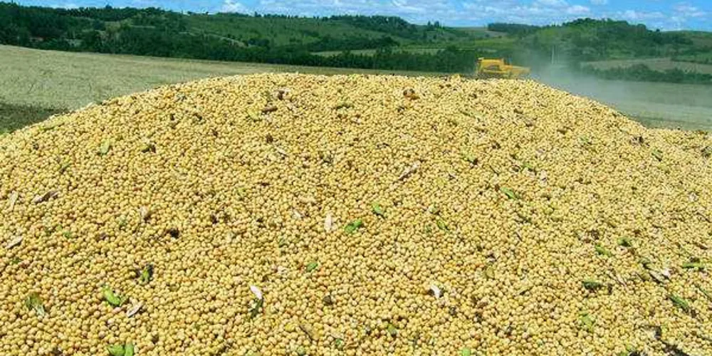 Previsão de safra recorde, que apontava para uma colheita de 18,3 milhões de toneladas, foi estendida para 18,6 milhões de toneladas