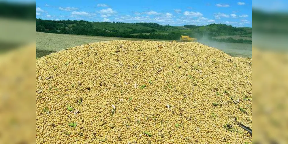Previsão de safra recorde, que apontava para uma colheita de 18,3 milhões de toneladas, foi estendida para 18,6 milhões de toneladas