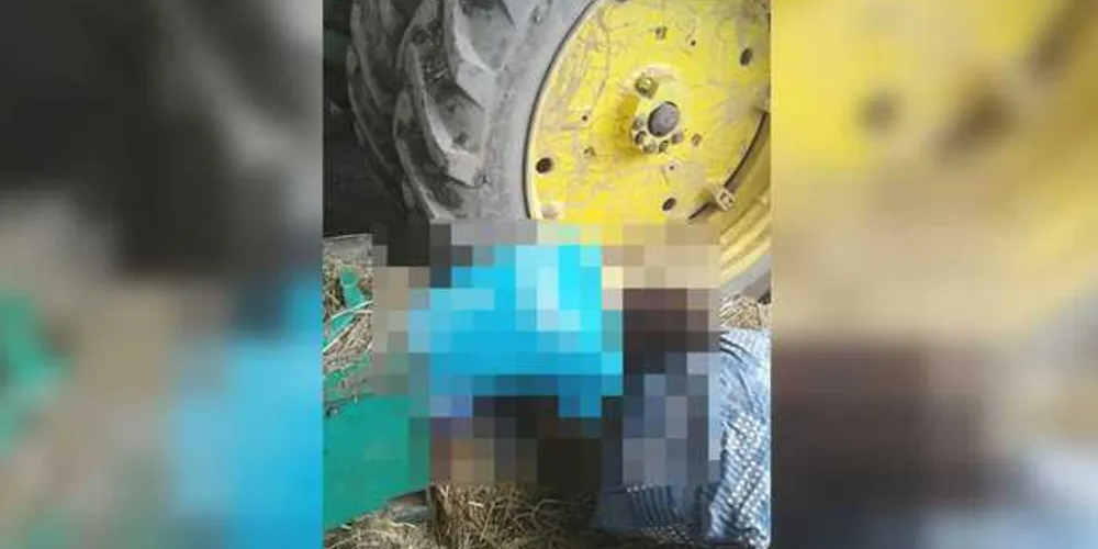 Imagem ilustrativa da imagem Jovem de Palmeira morre triturado por máquina agrícola