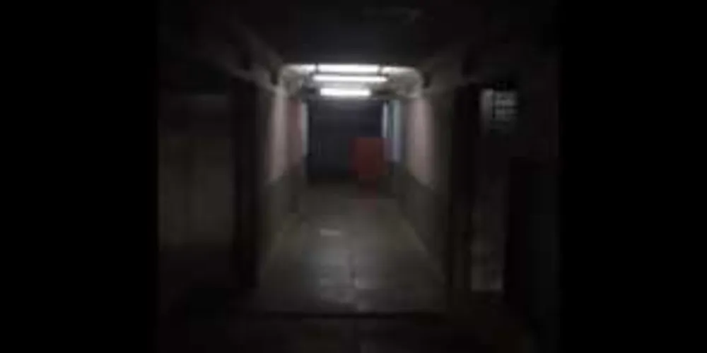 O vídeo foi gravado no início de fevereiro / Imagem: Paraná Portal 

