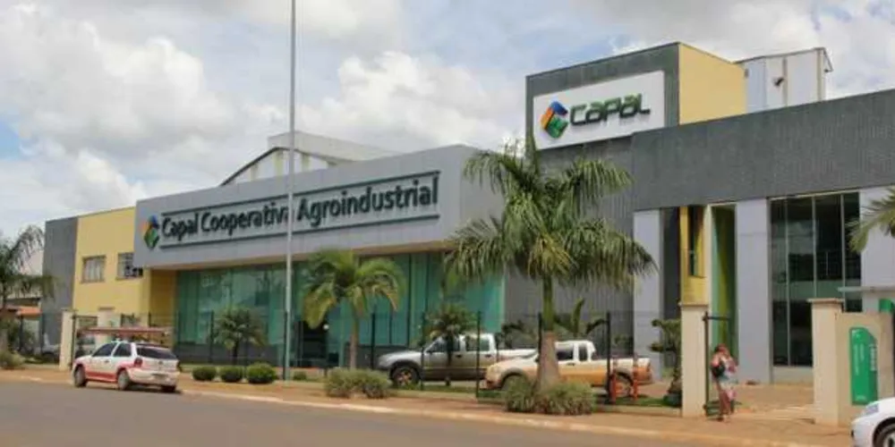 Imagem ilustrativa da imagem Cooperativismo paranaense cresce 16,24% em 2016