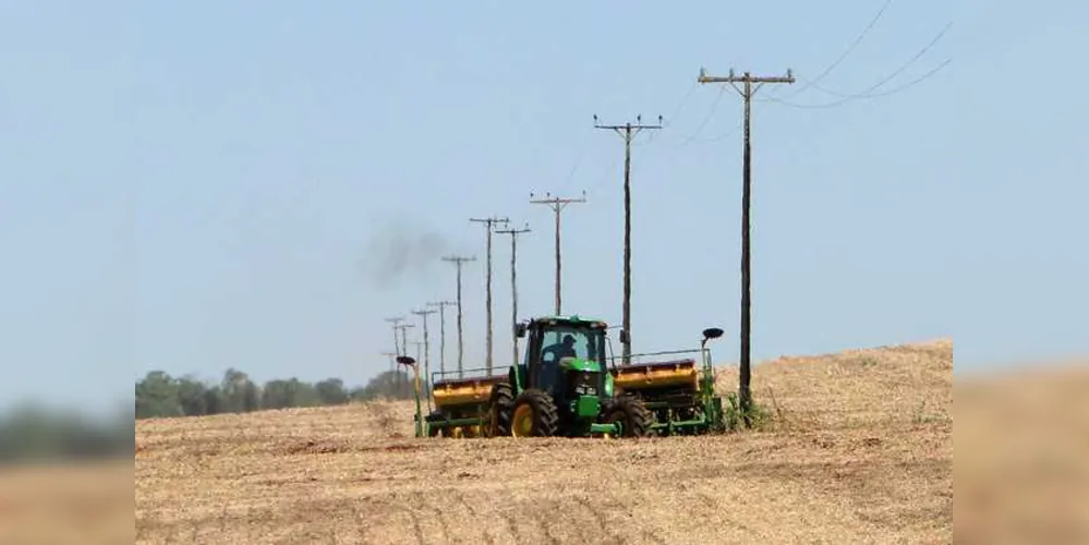 Imagem ilustrativa da imagem Copel alerta para cuidados em rede elétrica da área rural