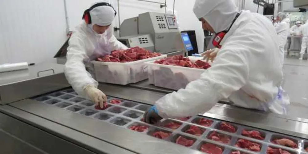 Imagem ilustrativa da imagem Grupo Madero foi coagido para integrar esquema fraudulento
