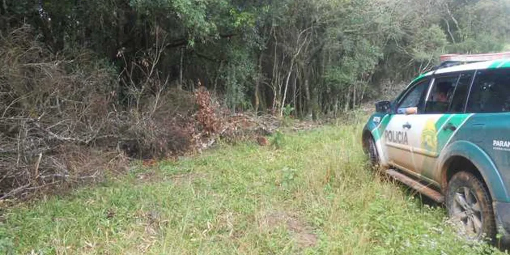 Imagem ilustrativa da imagem Polícia Ambiental flagra danos em área de preservação em Carambeí