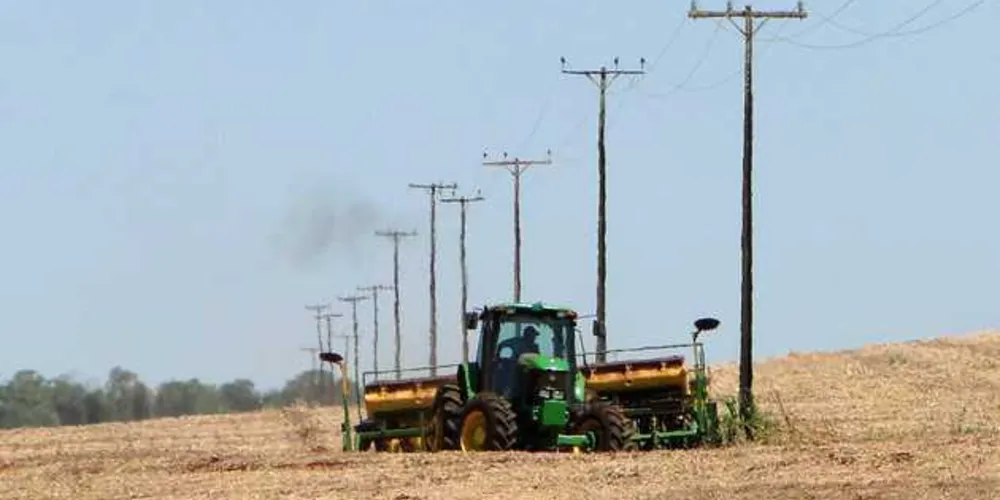 Imagem ilustrativa da imagem Outono não deve afetar a agricultura no PR