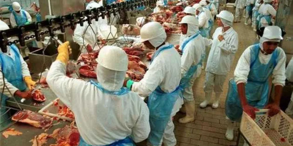 Imagem ilustrativa da imagem Produtores são as grandes vítimas na ‘Carne Fraca’, diz CNA