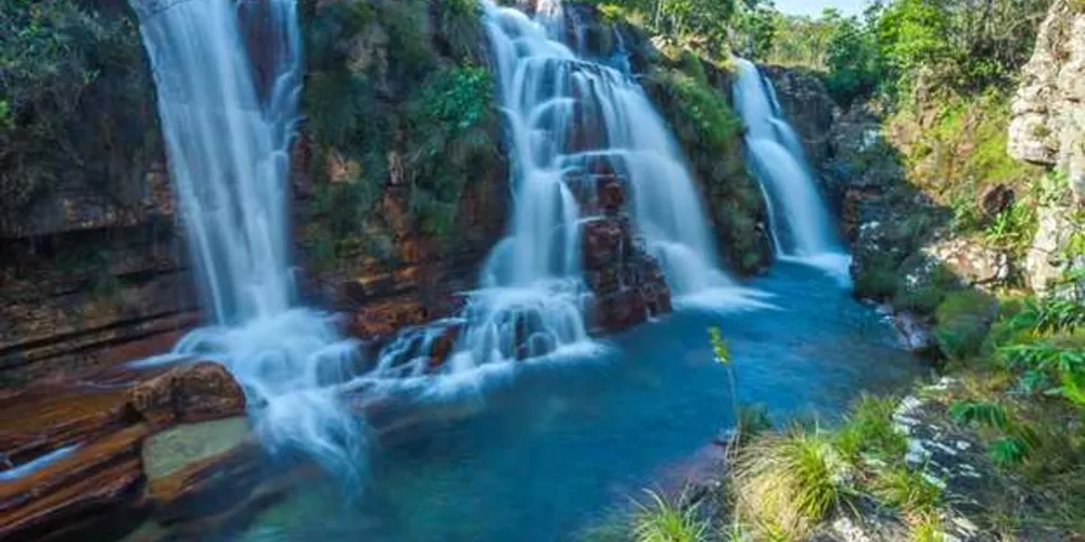 Imagem ilustrativa da imagem Roteiros goianos para exportação