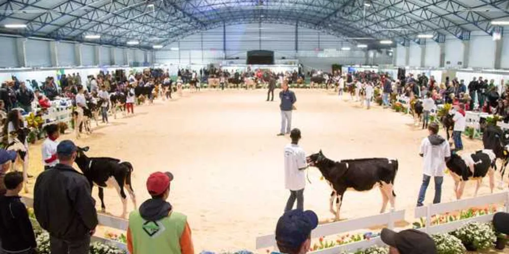 Imagem ilustrativa da imagem ExpoFrísia 2017 destaca a genética pecuária da região
