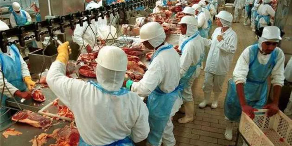 Imagem ilustrativa da imagem UE e 14 países suspendem importação de carne brasileira