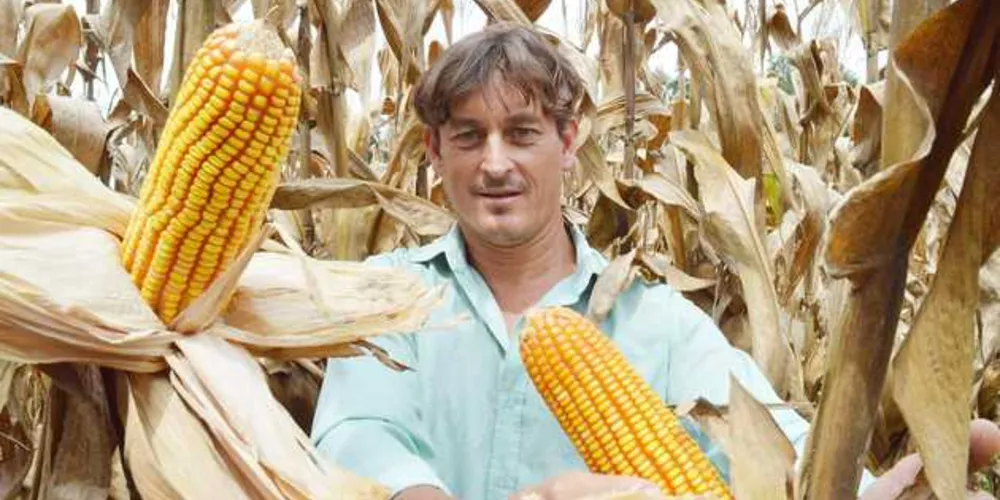 Imagem ilustrativa da imagem Programa Paranaense atenderá 2,2 mil agricultores