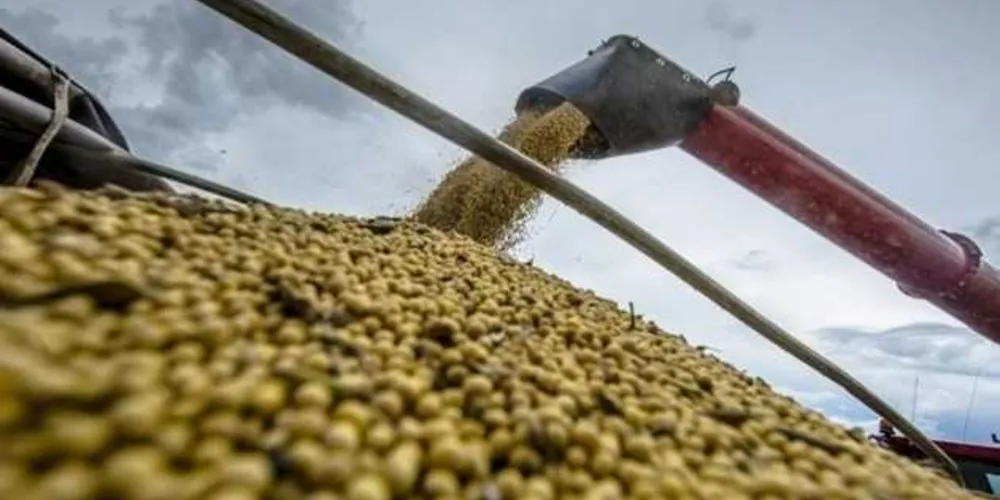 PIB do Agronegócio cresceu 4,48% em 2016/ Foto: Portal do Agronegócio 