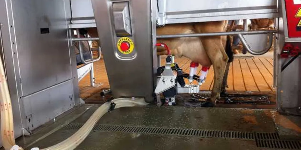 Imagem ilustrativa da imagem BRDE financiou R$ 1,95 bi para produtores rurais em cinco anos