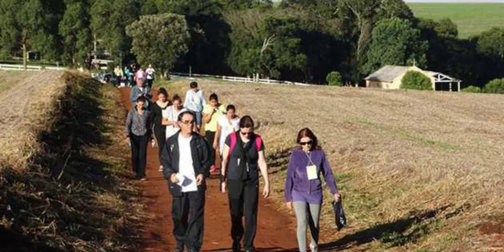 Imagem ilustrativa da imagem Fiéis preparam peregrinação em Tibagi