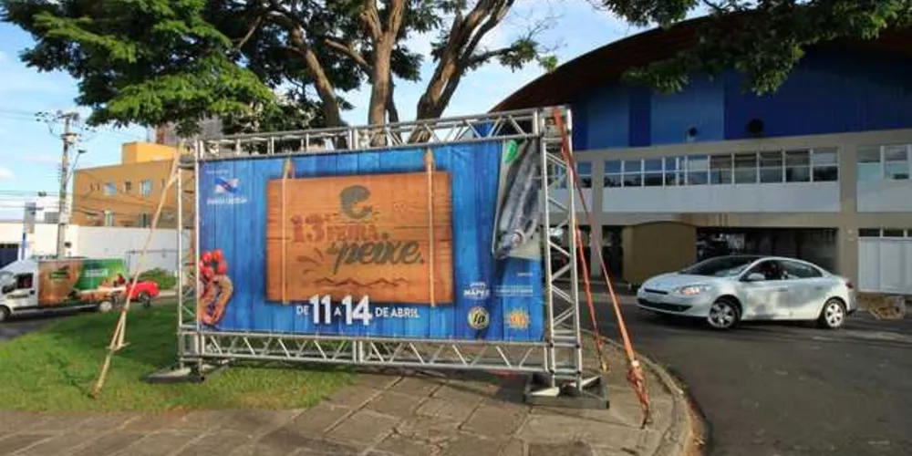 Imagem ilustrativa da imagem Feira do Peixe em PG deve movimentar R$ 500 mil