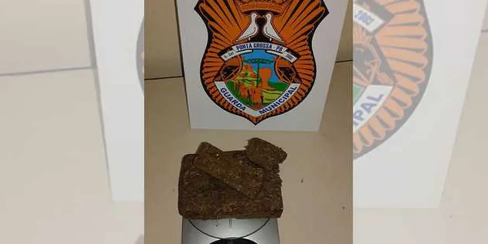 Imagem ilustrativa da imagem GM apreende maconha na região Central