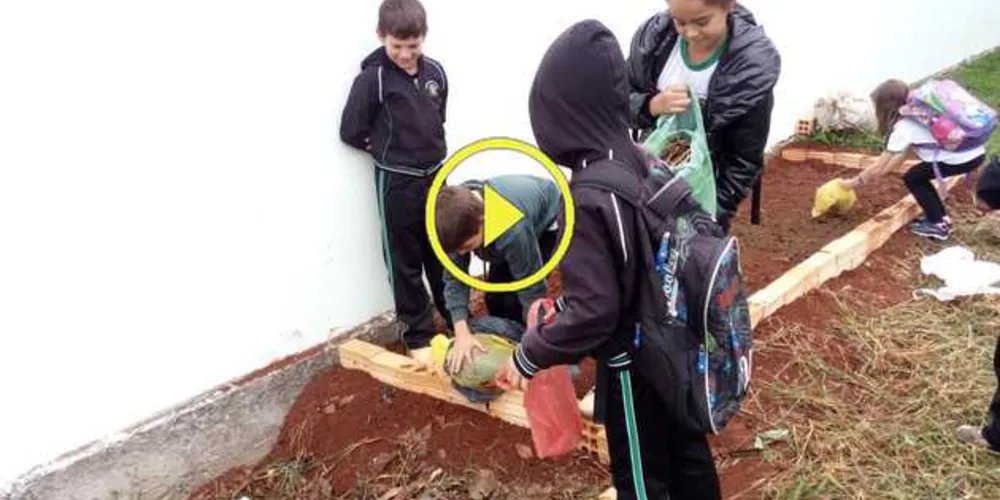 Imagem ilustrativa da imagem Escola de Imbituva tem trabalho sobre compostagem