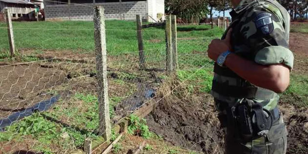 Responsável pela propriedade rural foi advertido e deve ser multado | Divulgação / Polícia Ambiental