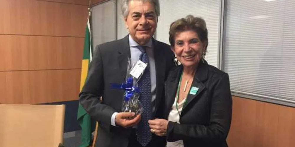 Imagem ilustrativa da imagem Elizabeth busca recursos para o Turismo em Brasília