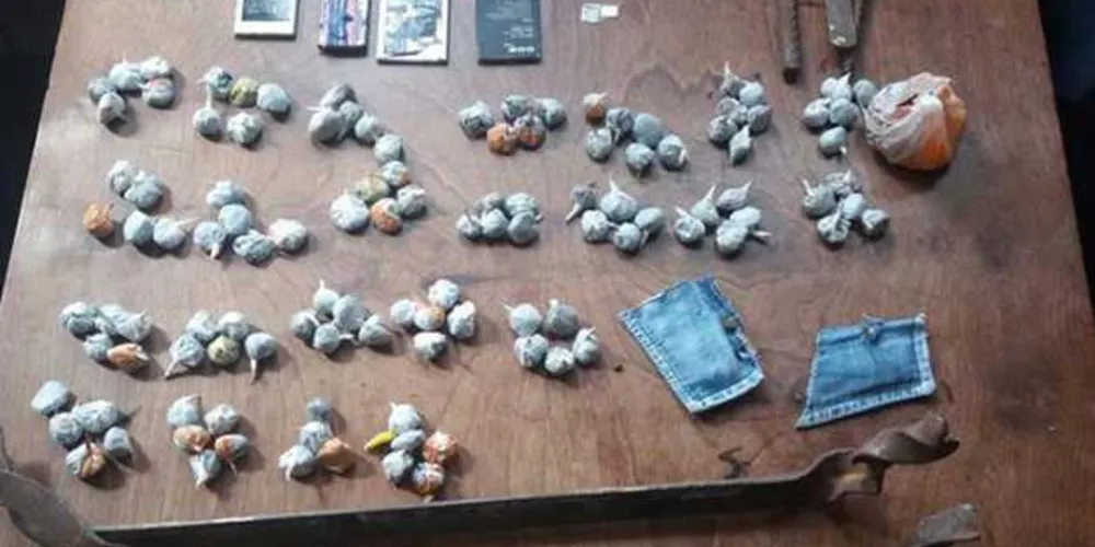Imagem ilustrativa da imagem Bate-grade encontra 100 buchas de maconha na cadeia de Irati