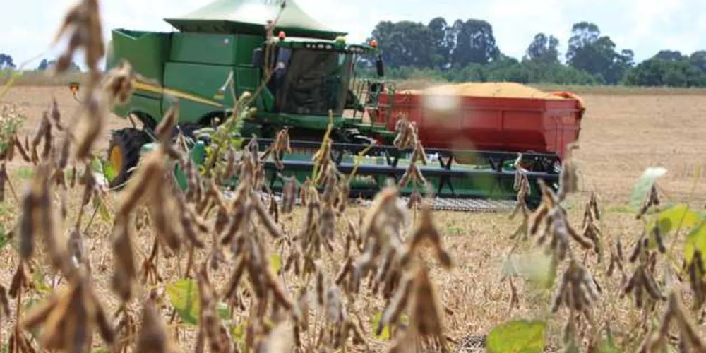 Imagem ilustrativa da imagem Supersafra gera mais de R$ 3 bi em riquezas nos Campos Gerais