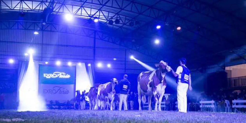 Imagem ilustrativa da imagem Cooperativa realiza ‘Frísia Digital Agro’ em Carambeí