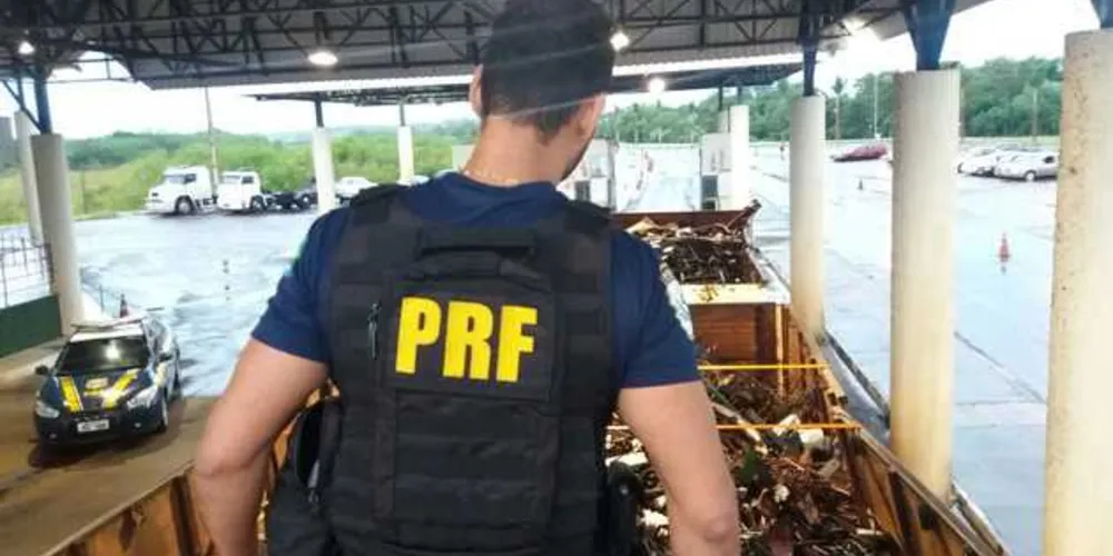 Operação conjunta entre Polícia Civil e PRF encontrou droga sob carga de ferro velho na região de Cascavel | Divulgação