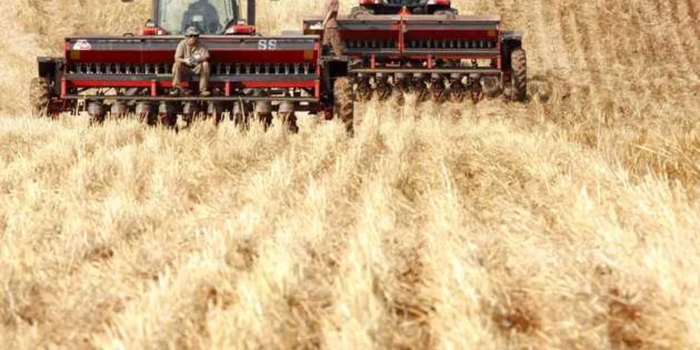 Imagem ilustrativa da imagem Adjuvante agrícola reduz investimentos do produtor