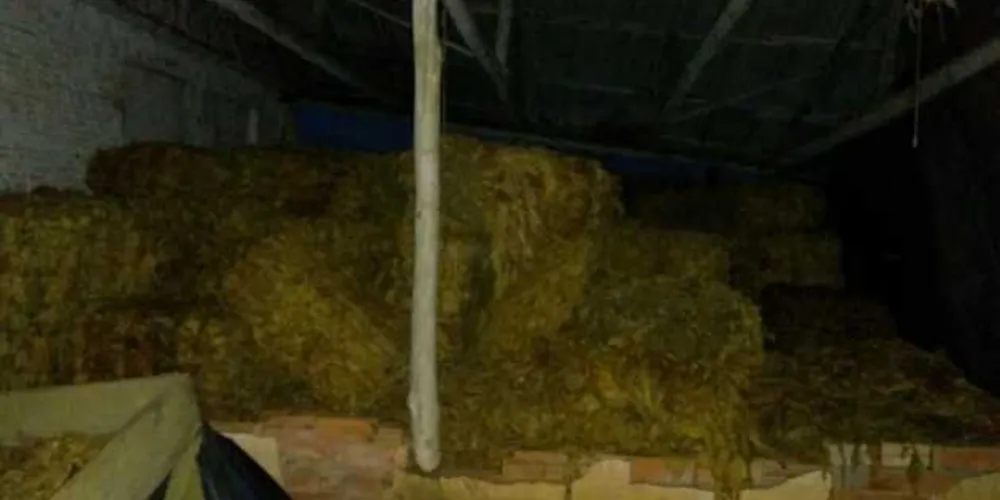 Produto foi furtado de propriedade rural de São Mateus do Sul na semana passada | Divulgação