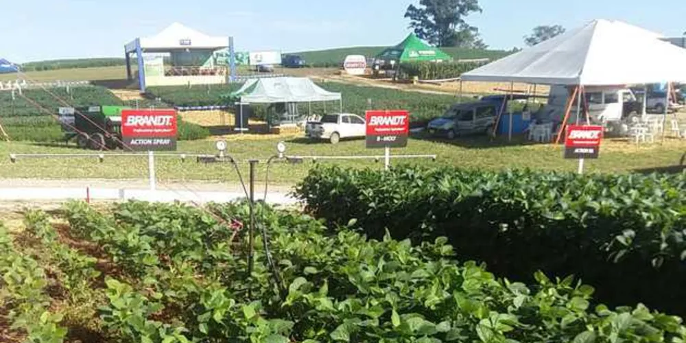 Imagem ilustrativa da imagem Brandt investe no potencial agropecuário do Brasil